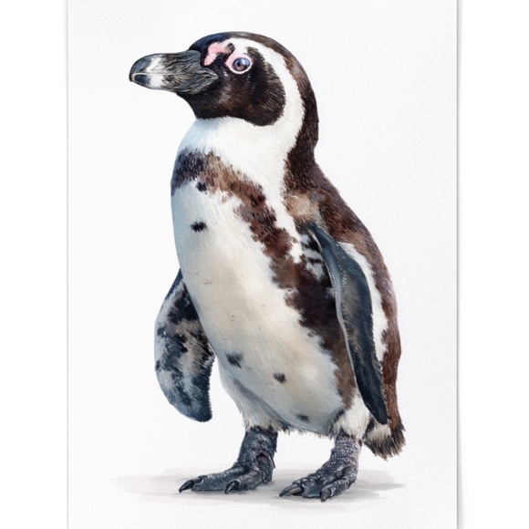 Watercolor African Penguin Portrait Wall Art Print Unframed - Antarctic Charm - Picture 2 of 7